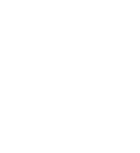 AWMUN VI council UNICEF
